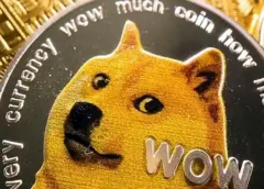 Is meme coin innovation dependent on technical efficiency?